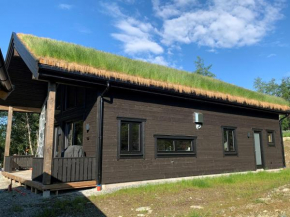 Skarvruetstugan Funäsdalen